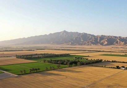 شناسایی ۸ مورد تخریب اراضی ملی و کشف ۲ تن چوب قاچاق در قروه