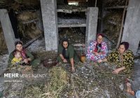 فعالسازی ۱۲ زنجیره ارزش روستایی برای توسعه اشتغال فعالسازی ۱۲ زنجیره ارزش روستایی برای توسعه اشتغال